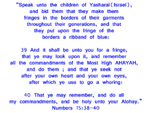 Cargar imagen en el visor de la galería, Hebrew Tank Top with Fringes, Israelite Fringes, Fringes, Hebrew Israelite Garments, MATCHING color fringes