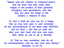 Load image into Gallery viewer, GIRLS Holy Days Israelite Princess Dress