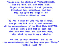 Load image into Gallery viewer, Men's Israelite T-Shirts with Fringes, Fringed T-shirt, Hebrew Garments, Fringes and Blue border, Israelite Garments