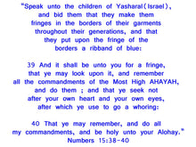 Load image into Gallery viewer, Men's Israelite T-Shirts with Black Fringes (Neat Open Corners)