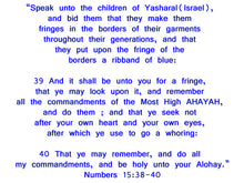 Load image into Gallery viewer, Ready to ship out today- Size 4/5/7/8/10 Israelite Princess Skirt and Embroidered matching shirt