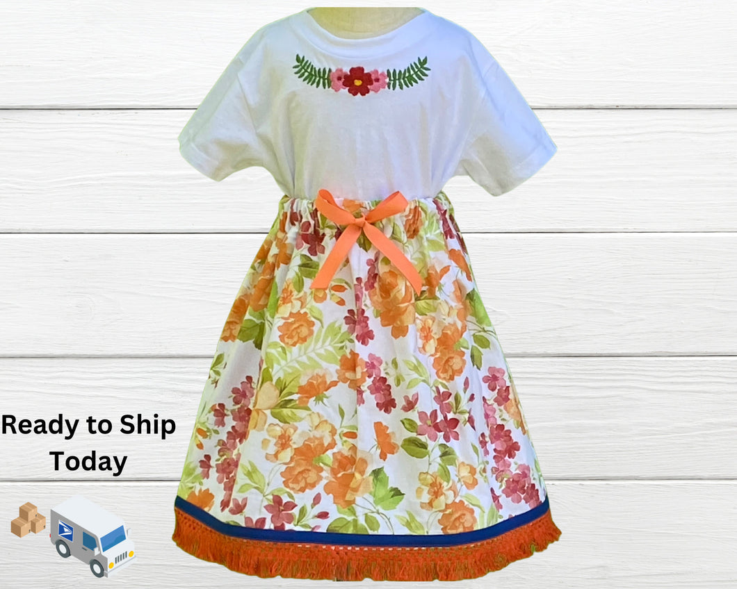 Ships out today- Size 4 Israelite Princess Skirt and Embroidered matching shirt